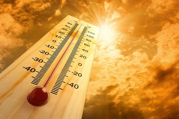 Tips for Working During Heat Waves